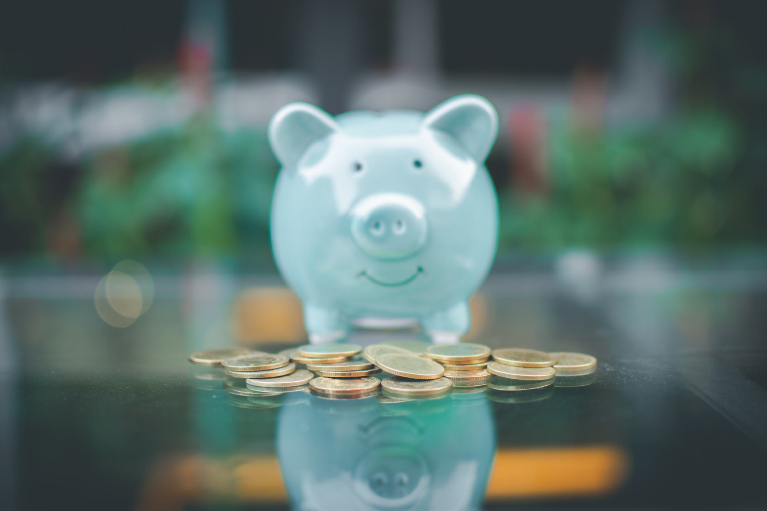Image of blue pig piggy bank and money coin